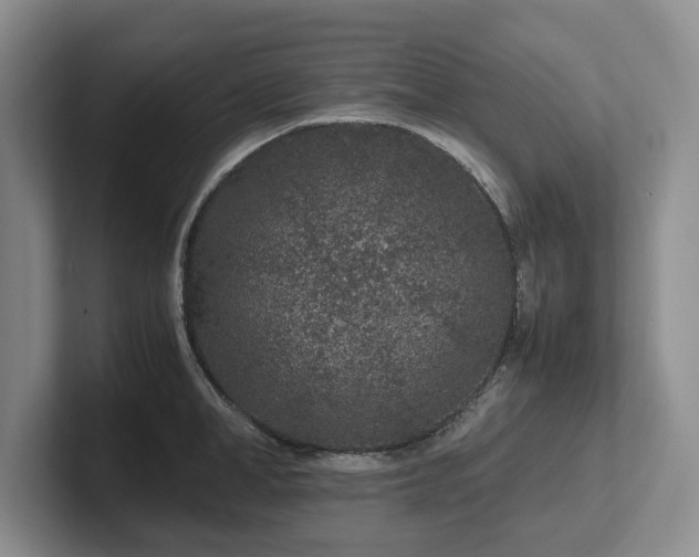 X0000102510998200808081406