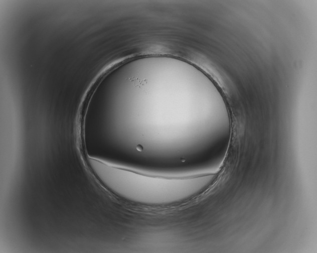 X0000102511000200808081406