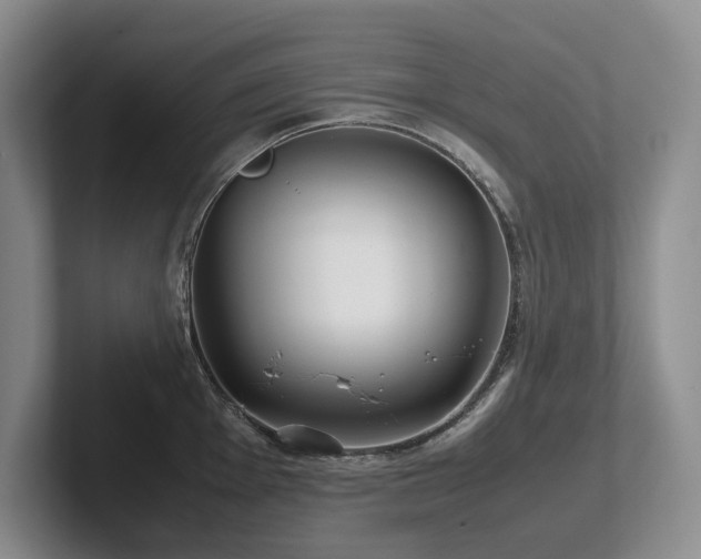 X0000102511001200808081406