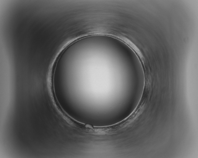 X0000102511005200808081406