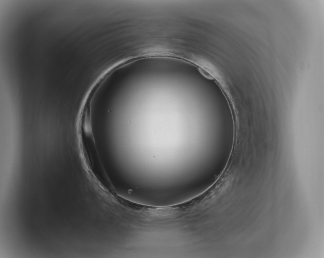 X0000102511008200808081406