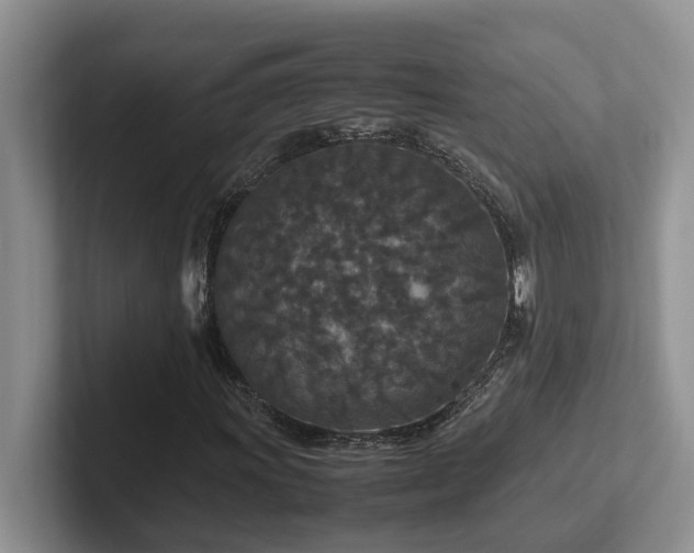 X0000102511011200808081405