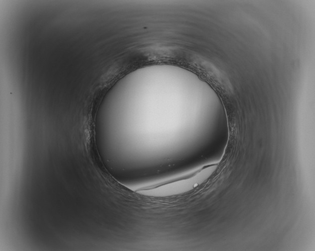 X0000102511012200808081405