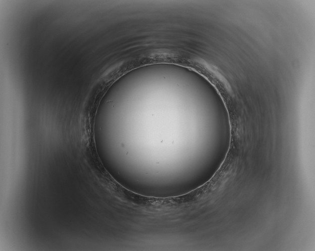 X0000102511015200808081405