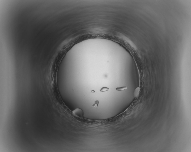 X0000102511016200808081405