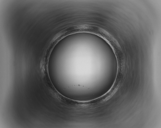 X0000102511017200808081405