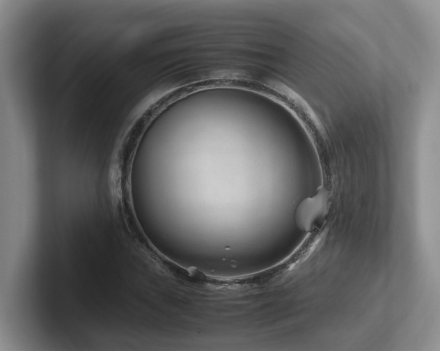 X0000102511019200808081406