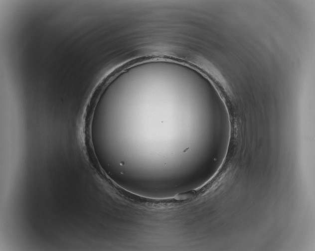 X0000102511020200808081406