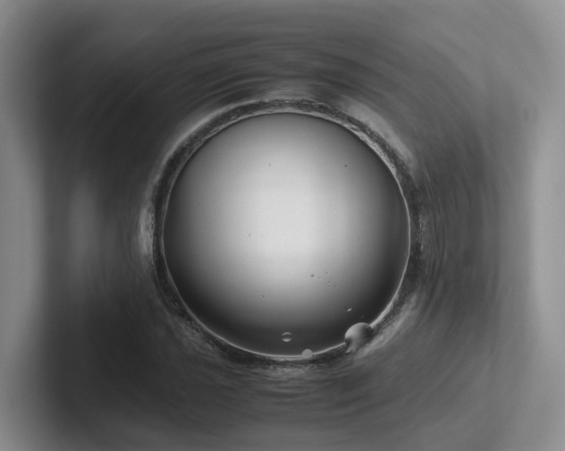 X0000102511021200808081406