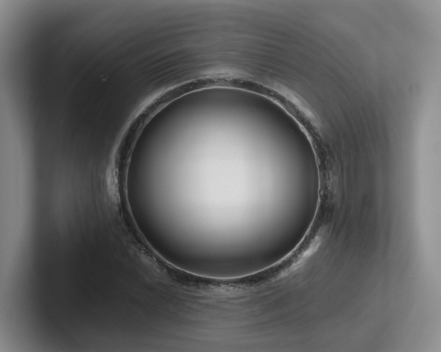 X0000102511022200808081406