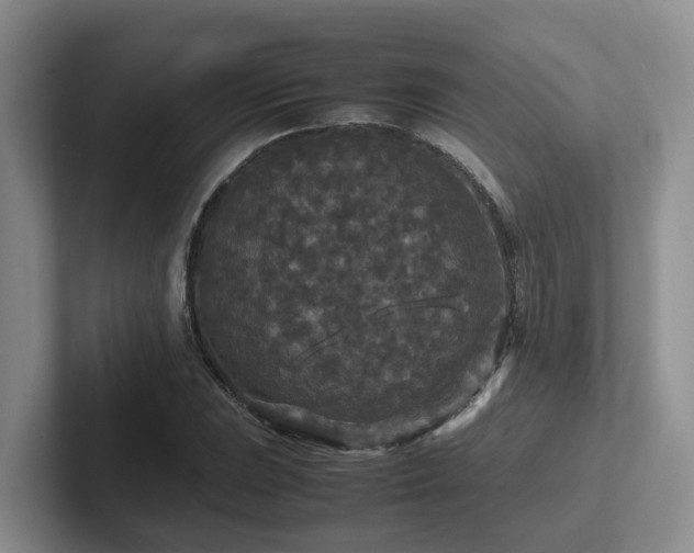 X0000102511023200808081406