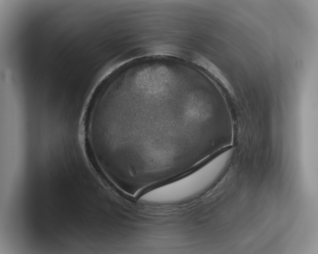 X0000102511024200808081406