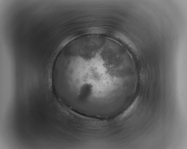 X0000102511025200808081406