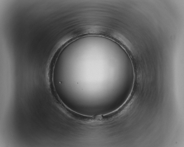 X0000102511026200808081406