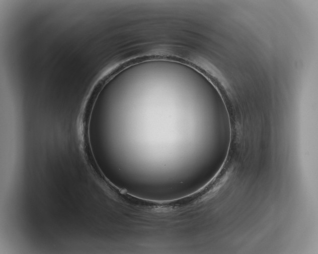 X0000102511029200808081406