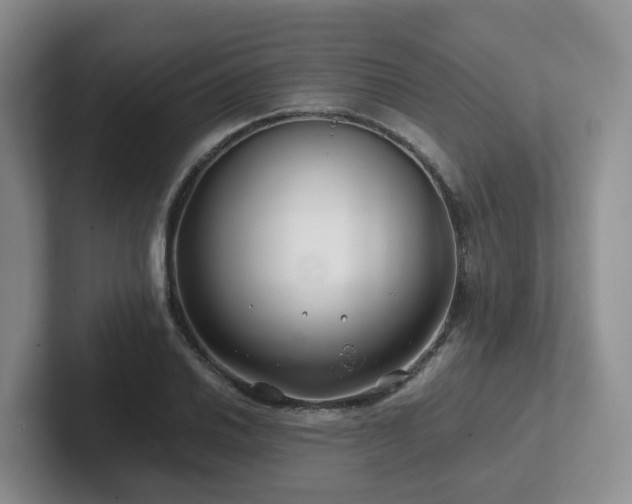 X0000102511030200808081406