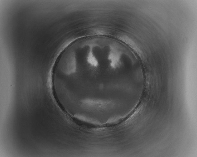 X0000102511031200808081406
