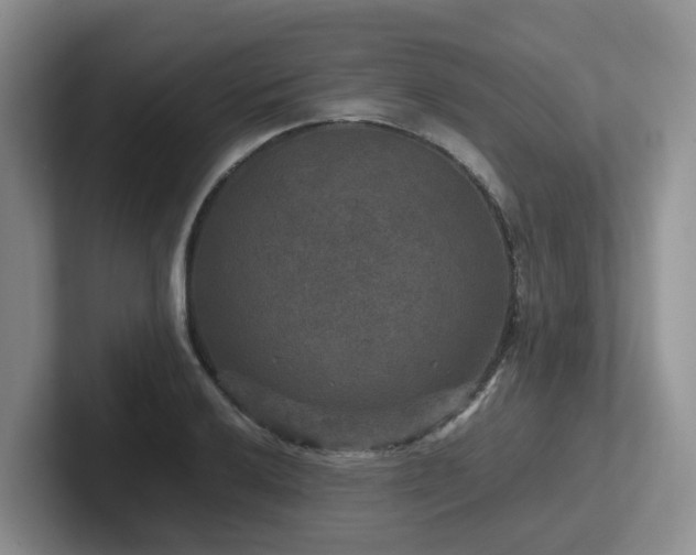 X0000102511032200808081406