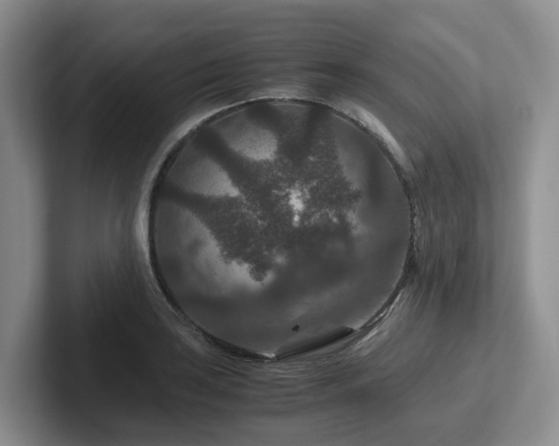 X0000102511035200808081406