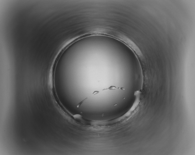 X0000102511036200808081406
