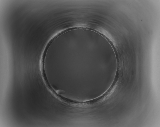X0000102511037200808081406