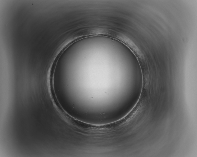 X0000102511039200808081406
