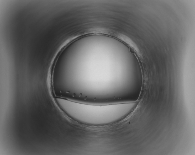 X0000102511040200808081406
