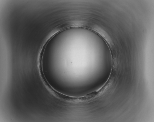 X0000102511042200808081406