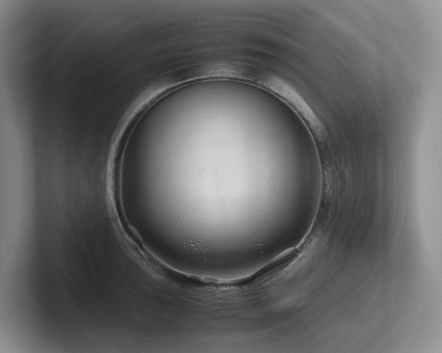 X0000102511043200808081406