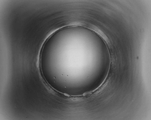 X0000102511044200808081406