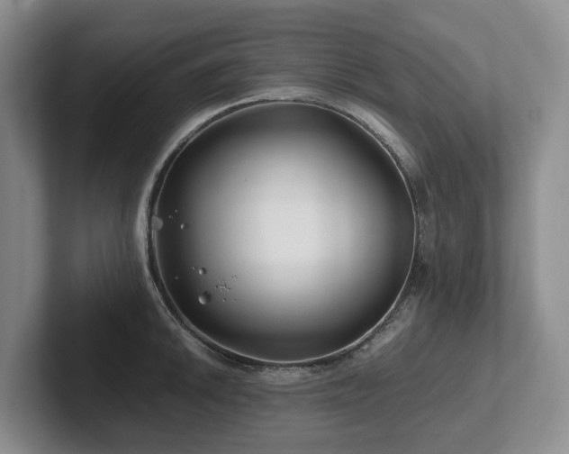 X0000102511046200808081406