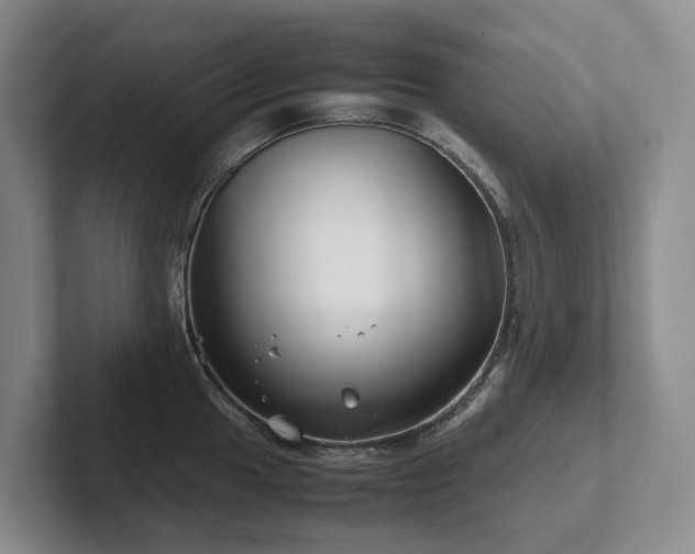 X0000102511049200808081406