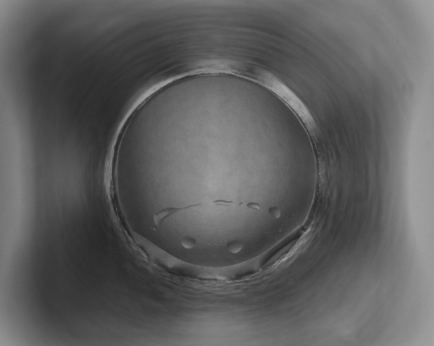 X0000102511052200808081406