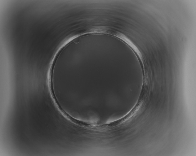 X0000102511053200808081406