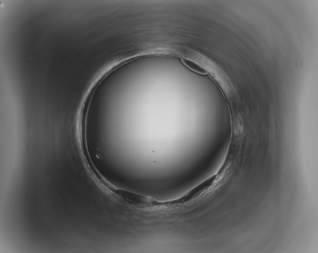 X0000102511054200808081406
