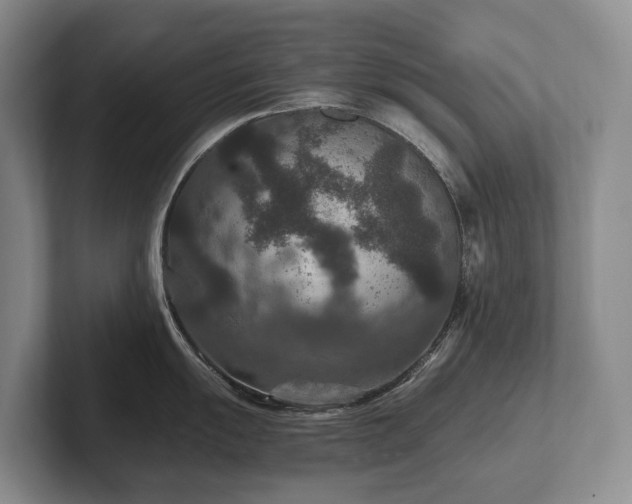 X0000102511055200808081406