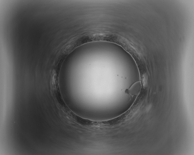 X0000102511059200808081405