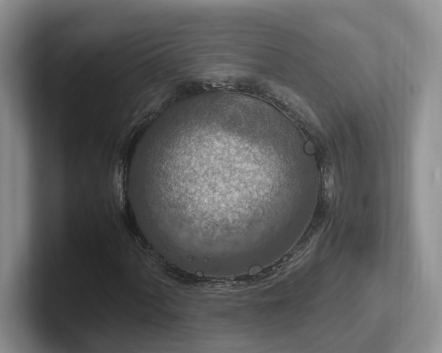 X0000102511060200808081405