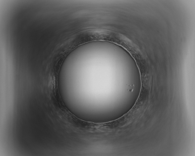 X0000102511061200808081405
