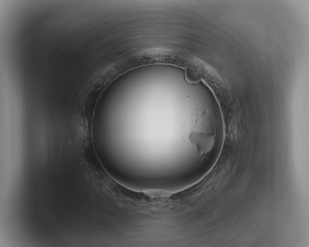 X0000102511062200808081405