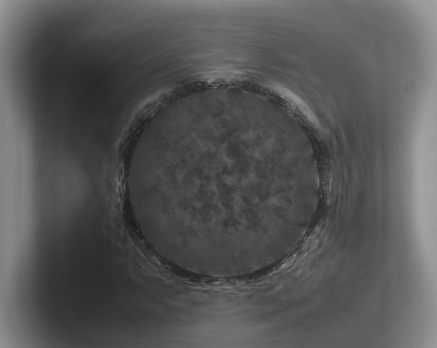 X0000102511063200808081405