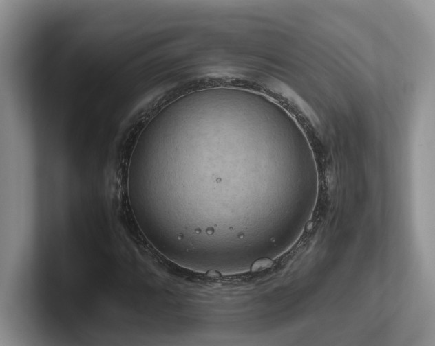 X0000102511064200808081405