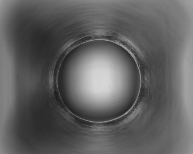 X0000102511065200808081405