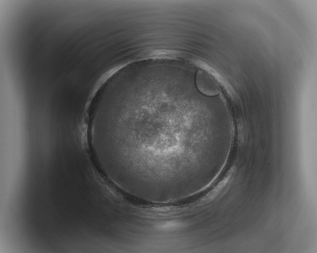 X0000102511066200808081405