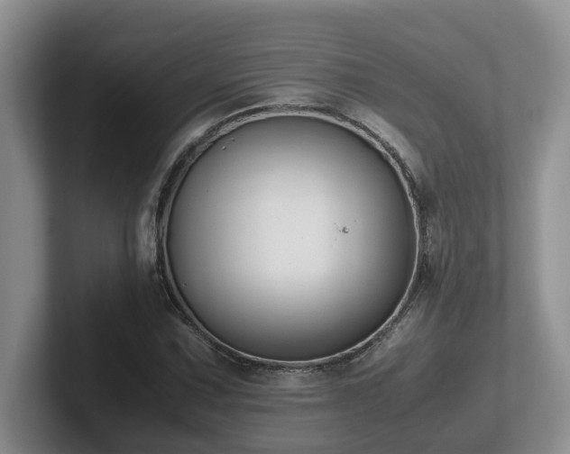 X0000102511067200808081405