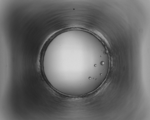 X0000102511068200808081405