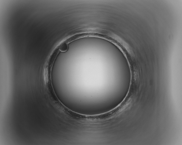 X0000102511069200808081405