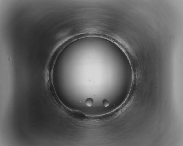 X0000102511070200808081405
