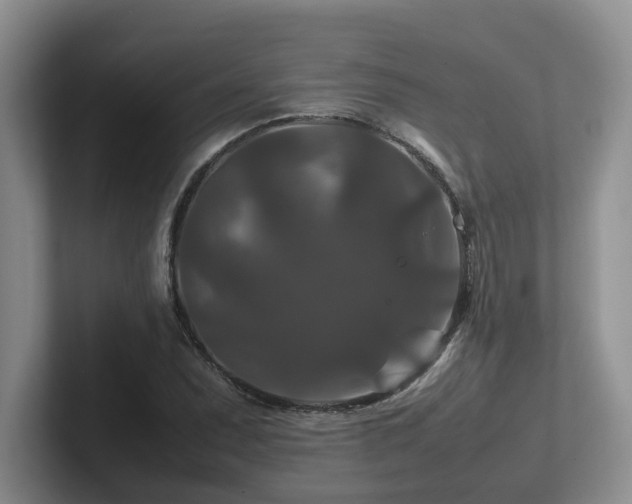 X0000102511071200808081405