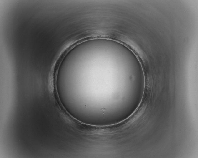 X0000102511075200808081405